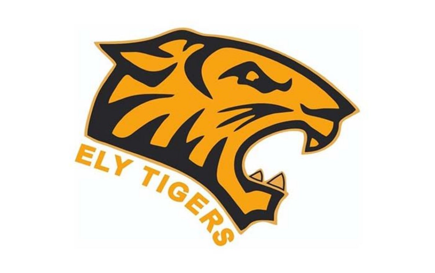 Ely Tigers RFC